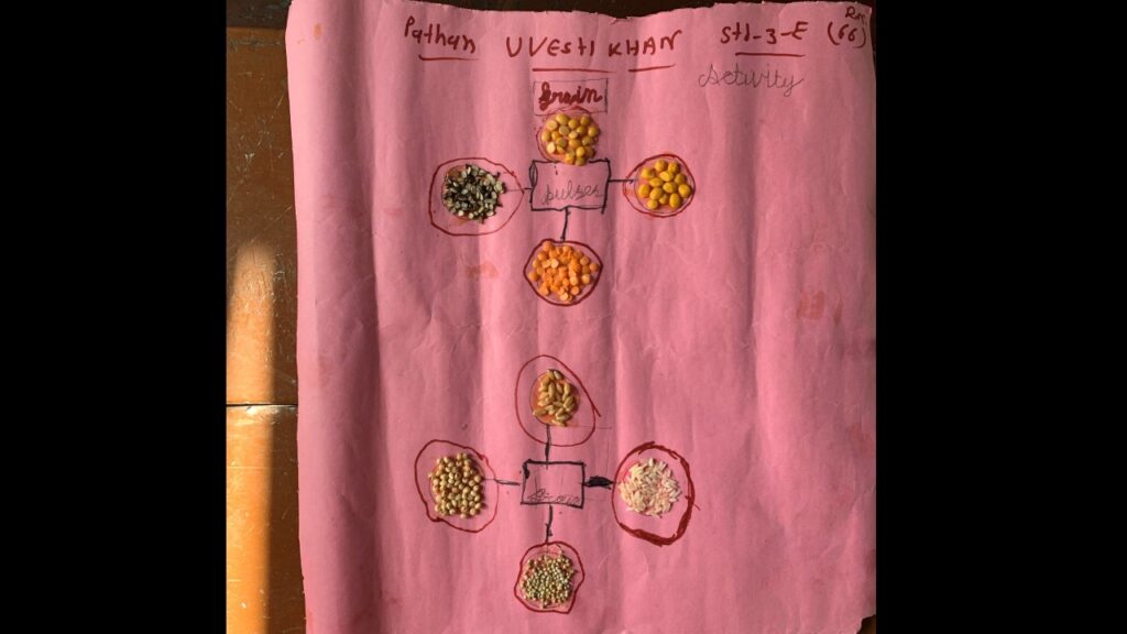 grains-and-pulses-new-education-school